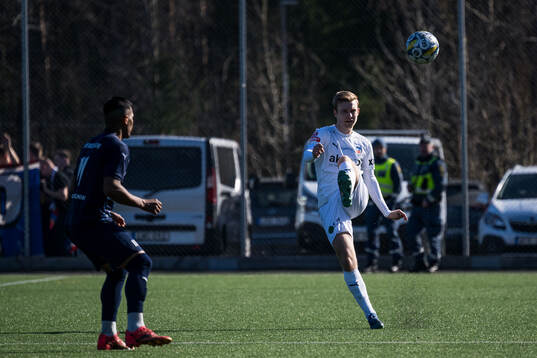 Helsingborgs William Westerlund