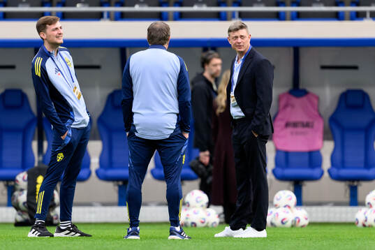 Head coach Jon Dahl Tomasson of Sweden
