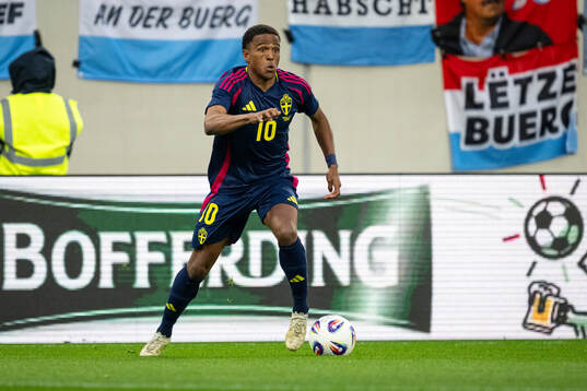 Niclas Eliasson of Sweden