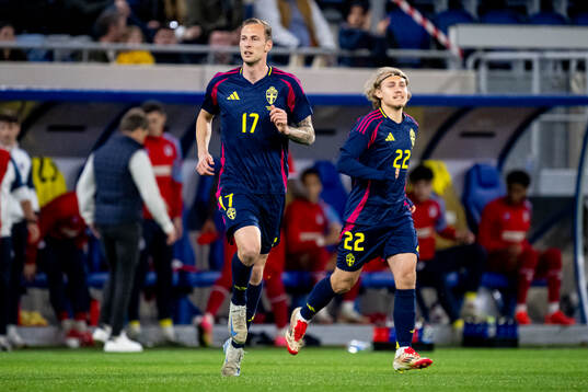 Gustaf Nilsson and Sebastian Nanasi of Sweden