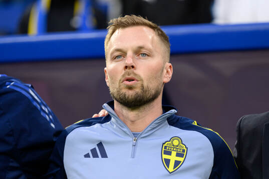 Assistant coach Sebastian Larsson of Sweden