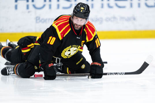 Brynäs Johan Larsson