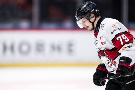 Malmö Redhawks Jakub Galvas deppar