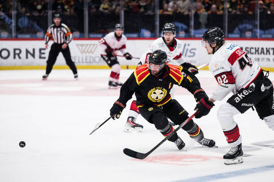 Brynäs Johan Larsson och Malmö Redhawks Robin Salo