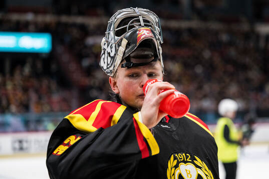 Brynäs målvakt Ludvig Persson