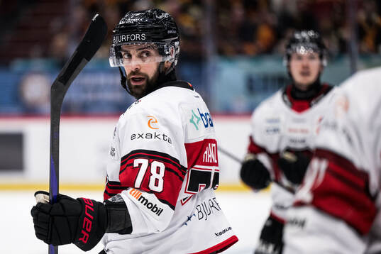 Malmö Redhawks Robin Hanzl