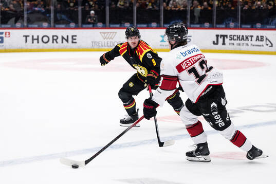 Brynäs Victor Söderström och Malmö Redhawks Petter