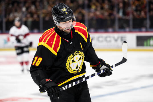 Brynäs Anton Rödin deppar