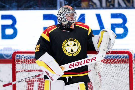 Brynäs målvakt Ludvig Persson