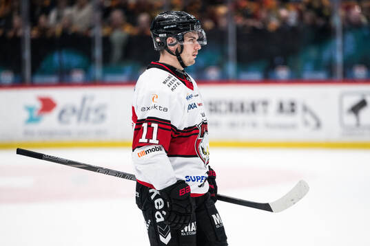 Malmö Redhawks Nikola Pasic