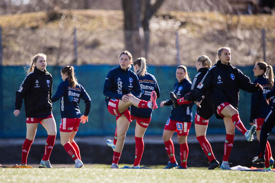 Linköpings spelare