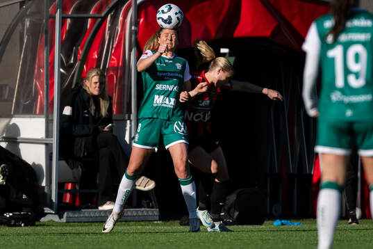 Alingsås Karin Lundin