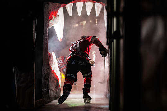 Luleås Jonas Berglund åker genom björngapet