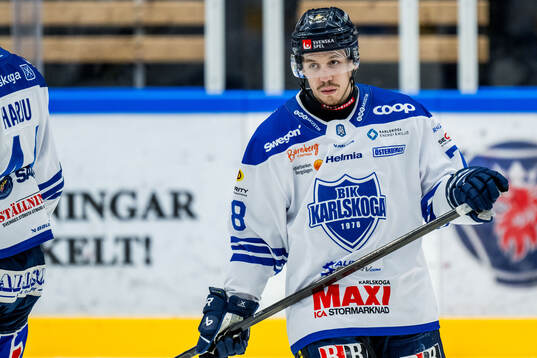 Karlskogas Leevi Viitala