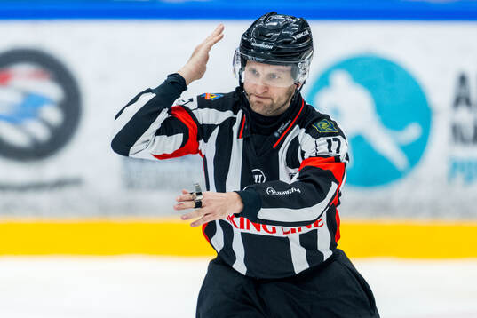 Domare Niklas Johansson