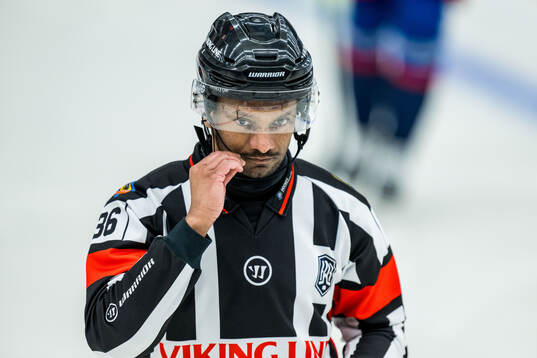 Domare Fredrik Rönnberg