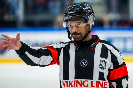 Domare Fredrik Rönnberg