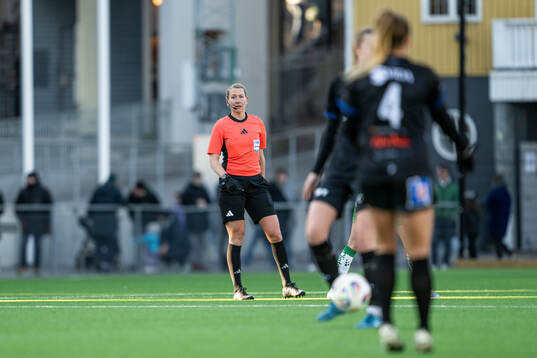 Domare Tess Olofsson