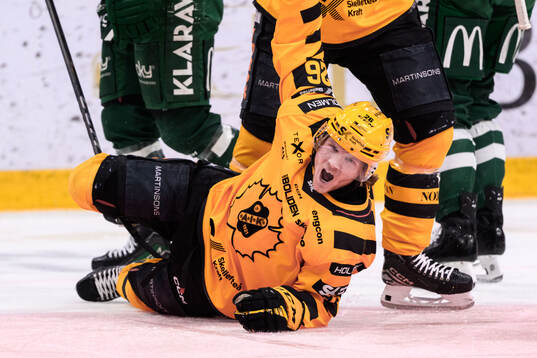 Skellefteås Anton Heikkinen jublar