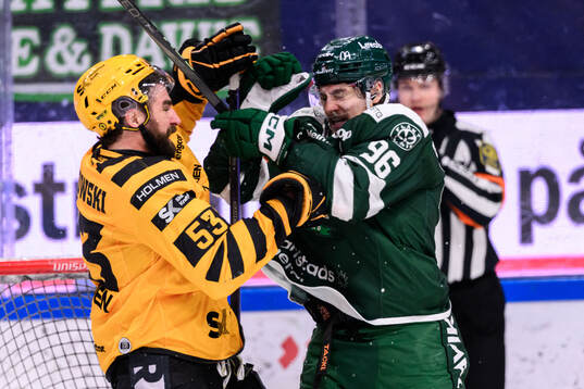 Skellefteås Luke Witkowski och Färjestads David Tomasek