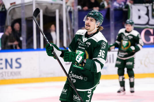 Färjestads David Tomasek deppar