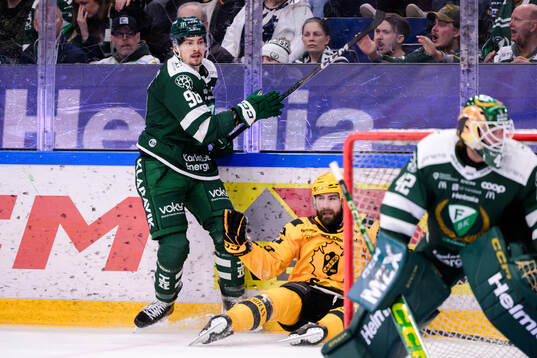 Färjestads David Tomasek och Skellefteås Luke Witkowski
