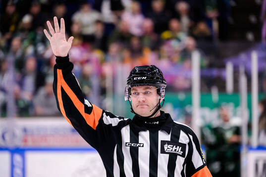 Domare Daniel Eriksson