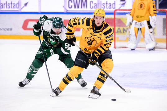 Färjestads Linus Johansson och Skellefteås Pontus
