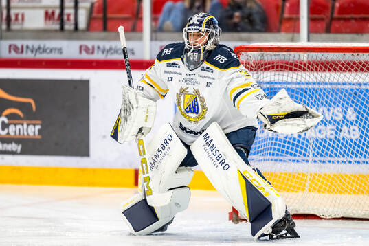 Södertäljes målvakt Oliver Håkansson