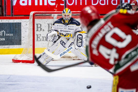 HV71s målvakt Frederik Dichow