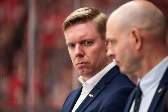 HV71s tränare Anton Blomqvist
