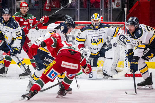 HV71s målvakt Frederik Dichow