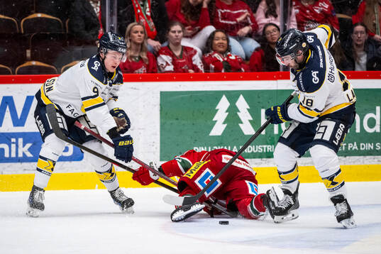 HV71s Hugo Pettersson och Joseph Laleggia