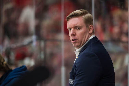 HV71s tränare Anton Blomqvist