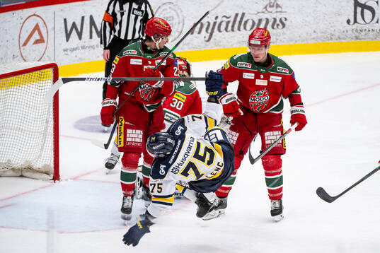 HV71s Radan Lenc