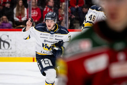 HV71s William Ignberg Nilsson jublar