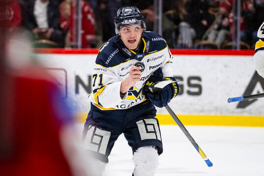 HV71s William Ignberg Nilsson jublar