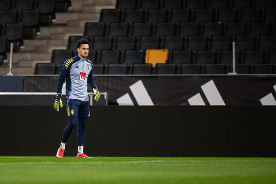 Goalkeeper Oliver Dovin of the Swedish men's national
