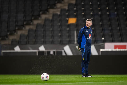 Head coach Jon Dahl Tomasson of the Swedish men's national