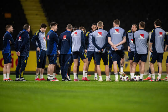 Players of the Swedish men's national football team