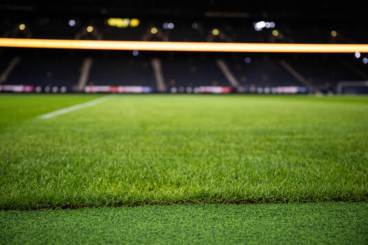 New hybrid grass