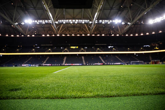 New hybrid grass