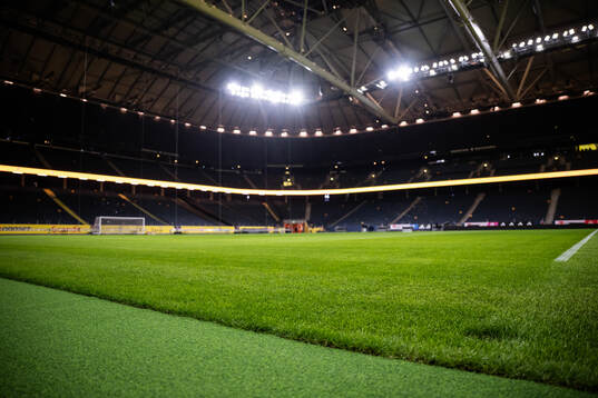 New hybrid grass