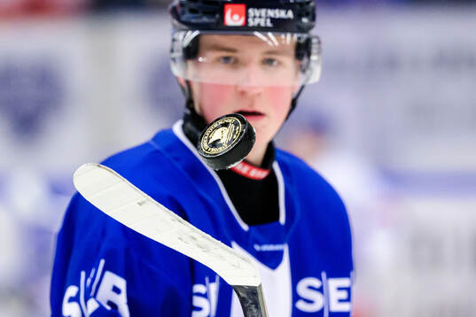 En puck