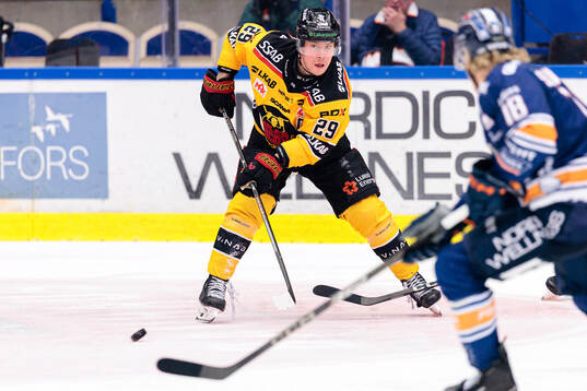 Luleås Erik Gustafsson