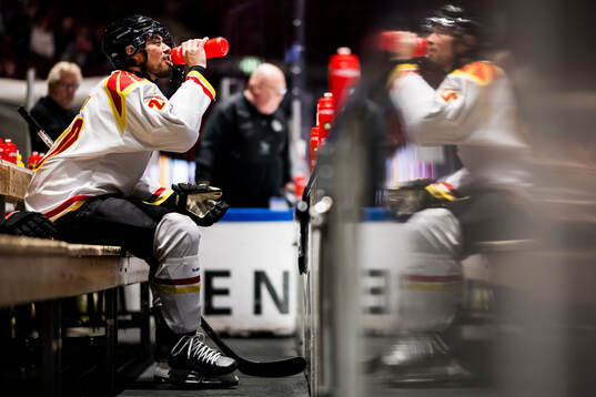 Brynäs Tyler Vesel