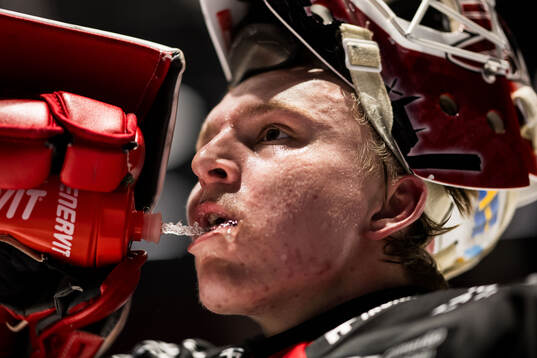 Malmö Redhawks målvakt Oskar Blomgren