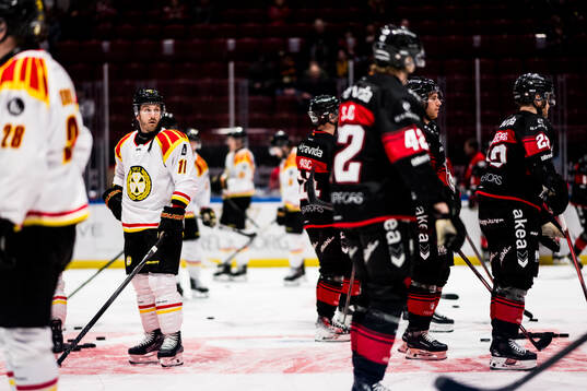 Brynäs Jordan Schroeder