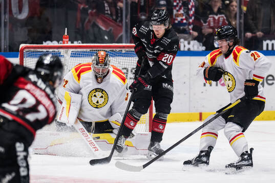 Brynäs målvakt Ludvig Persson och Malmö Redhawks Thomas