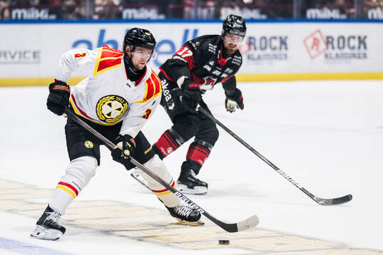 Brynäs Christian Djoos